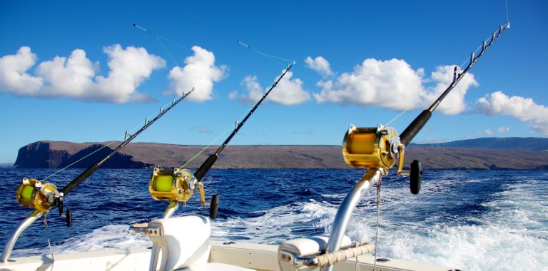 best fishing trips