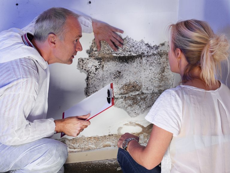 Wallpaper Can Cause Mold Heres What To Do  House Overhaul